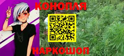 СК Шахты