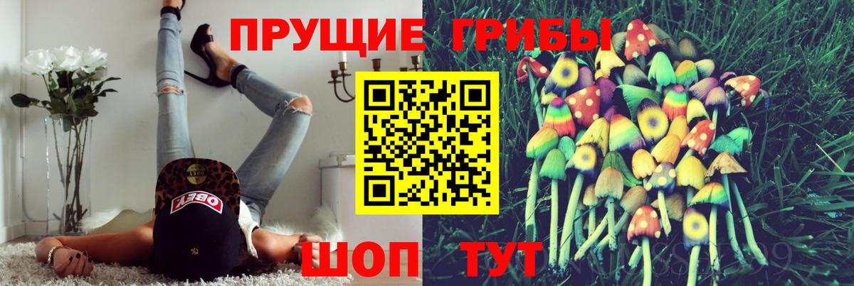 Галлюциногенные грибы Psilocybe  Вход с VPN  Ангарск 